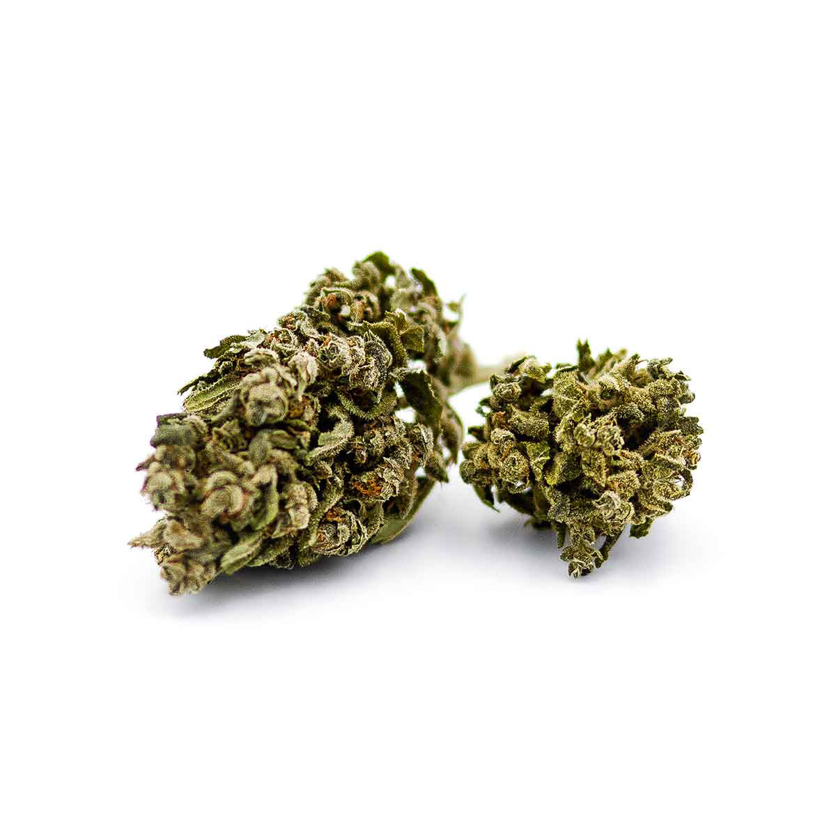 lemon_haze-HerbaZen